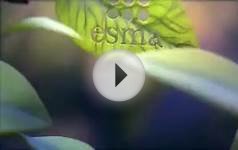 2015 Oscar Nominated 3D Animated Short HD_ Sweet Cocoon