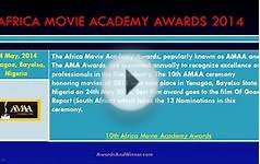 Africa Movie Academy Awards (AMAA) 2014