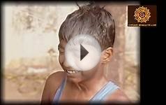 Bauchhaar : BEST SHORT FILM ACADEMY AWARD 2012