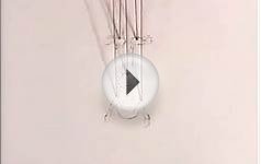 Best Short Film, Animated - Winner - 1992 Academy Awards