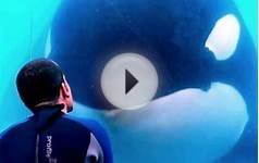 Blackfish - Official Trailer (HD) Documentary, Orca