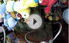 CLAW MACHINE MOST WINS EVER!!