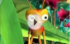 Copy of Award Winning Pachila Kood Malayalam Animation Movie