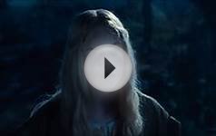 Five Oscar Nominations for Poland in 2015 | Article