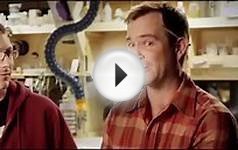 ParaNorman - Oscars 2013 Clip: Best Animated Feature