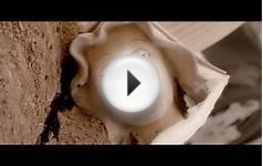 Watch 2016 OSCAR® Nominated Short Films - Live Action and